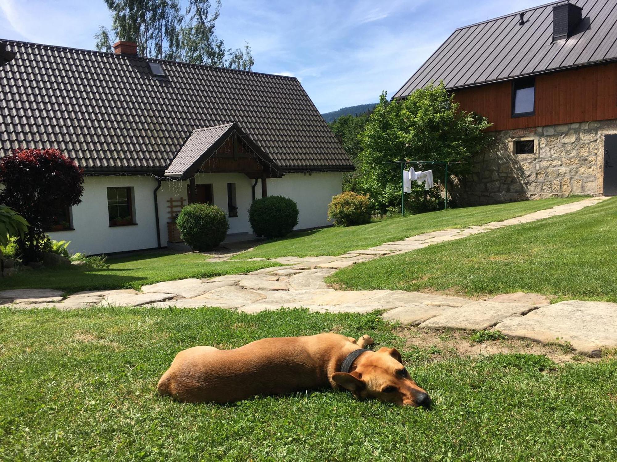 Agroturystyka Ostoja Bad Altheide Exterior foto